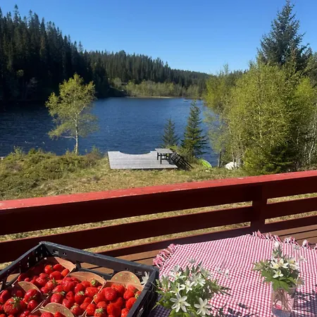 Lakeside Orman Evi Buvika