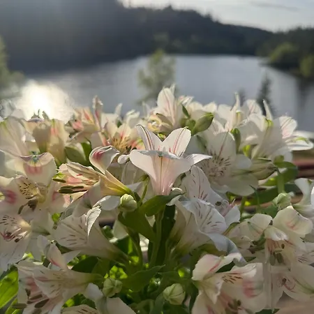 Lakeside Lodge