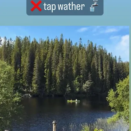 Lakeside